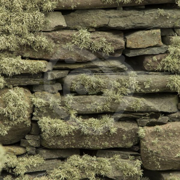 Ancient stone wall with moss - Nature Stock Photo Agency