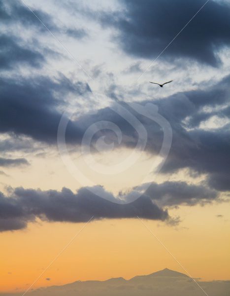 Sunset from Gran Canaria over Tenerife with the Teide - Nature Stock Photo Agency