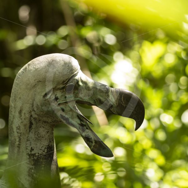 Dodo statue in Nature Reserve on Mauritius - Nature Stock Photo Agency