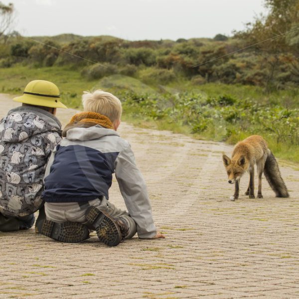 2 kids with fox - Nature Stock Photo Agency