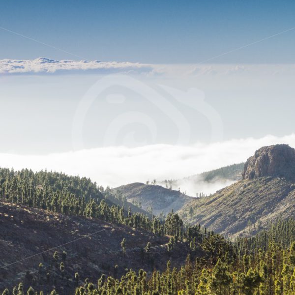 Above the clouds in Tenerife - Nature Stock Photo Agency