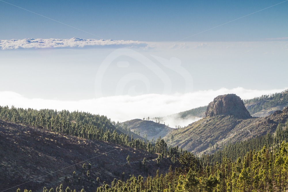Above the clouds in Tenerife - Nature Stock Photo Agency