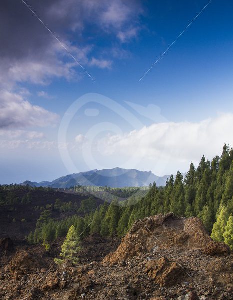 Volcano landscape Tenerife - Nature Stock Photo Agency