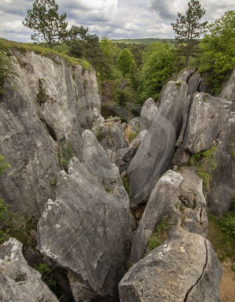 Belgian canyons near Viroin - Nature Stock Photo Agency