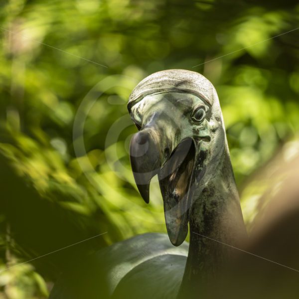 Dodo statue on Ile aux Aigrettes Nature Reserve - Nature Stock Photo Agency