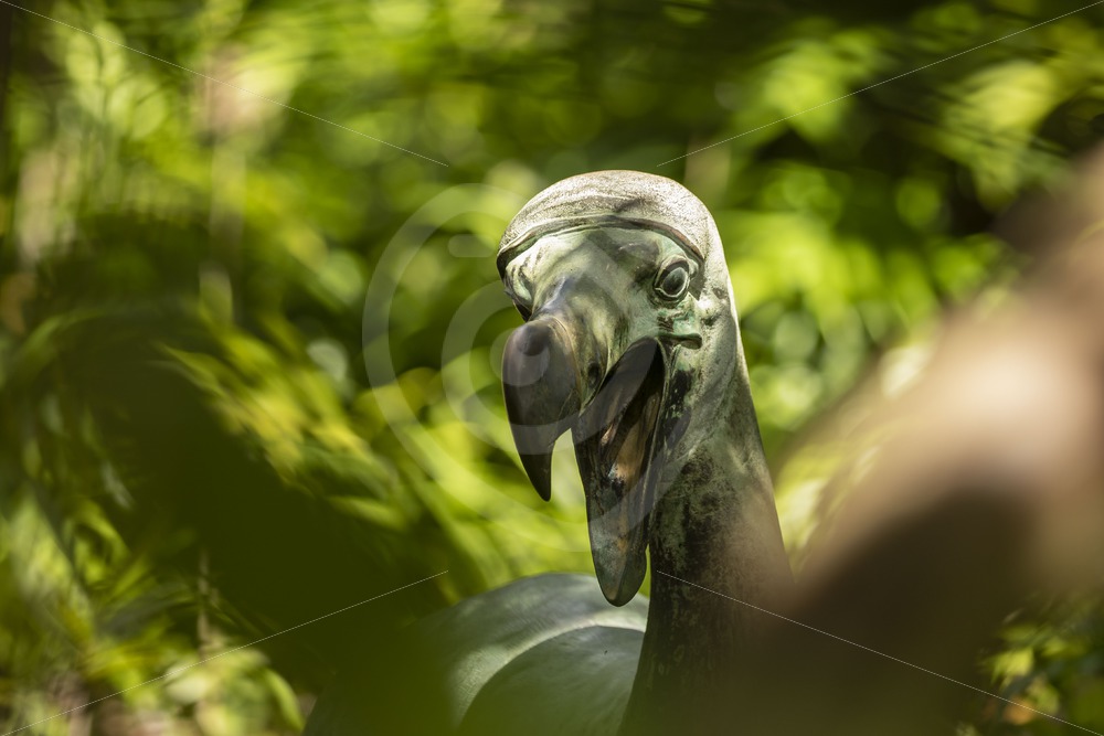 Dodo statue on Ile aux Aigrettes Nature Reserve - Nature Stock Photo Agency