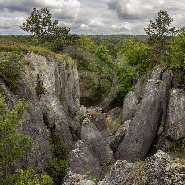 Fondry des chiens, Belgian canyons - Nature Stock Photo Agency