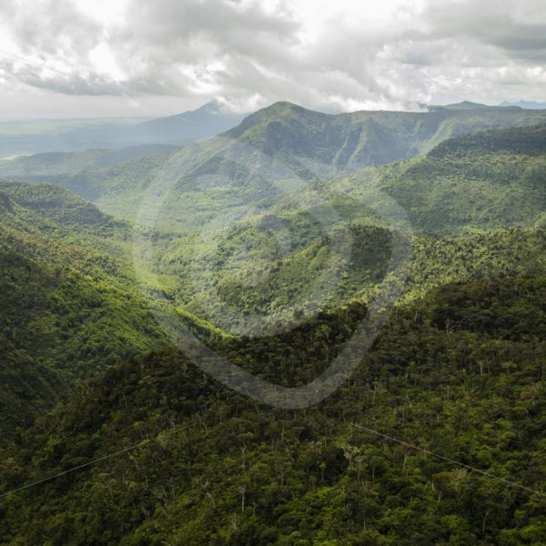 Black River Gorge National park in Mauritius - Nature Stock Photo Agency