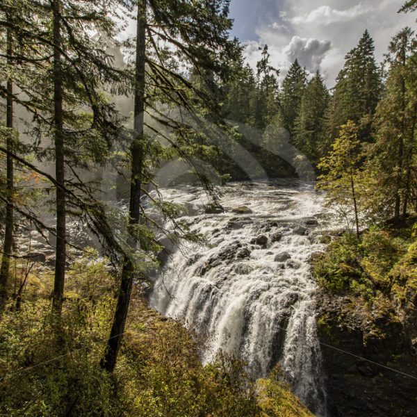 Englishman River Falls Provincial Park - Nature Stock Photo Agency