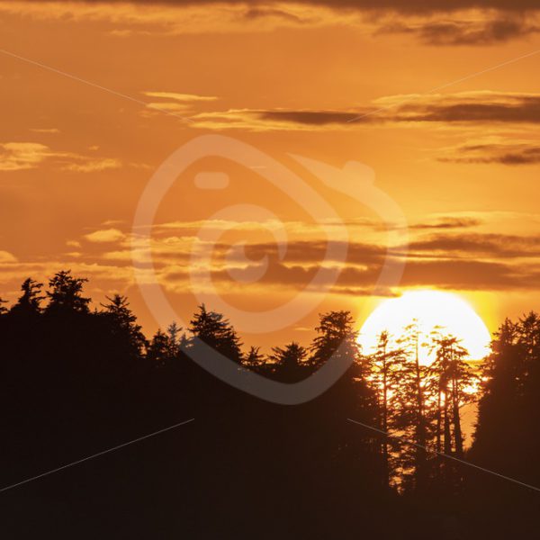 Sunset on Tofino beach - Nature Stock Photo Agency