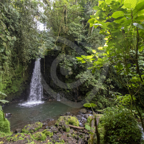 Beautiful small waterfall in Parque Nacional Volcán Arenal near the Arenal observatory lodge - Nature Stock Photo Agency