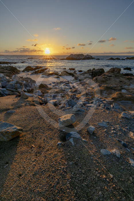 Sunset over Bird Rock, Monterey, California - Nature Stock Photo Agency